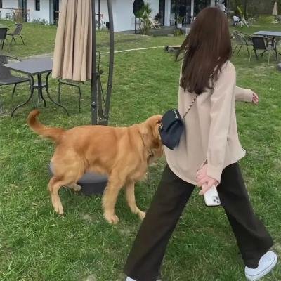 死亡真面目